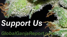 Support Global Ganja Report