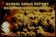 Global Ganja Report Recommended Reading
