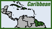 Caribbean