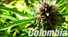 Colombia