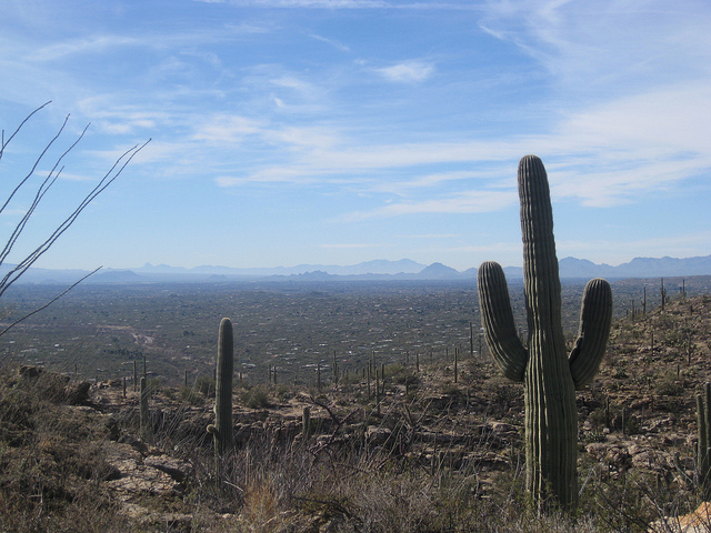 Tucson